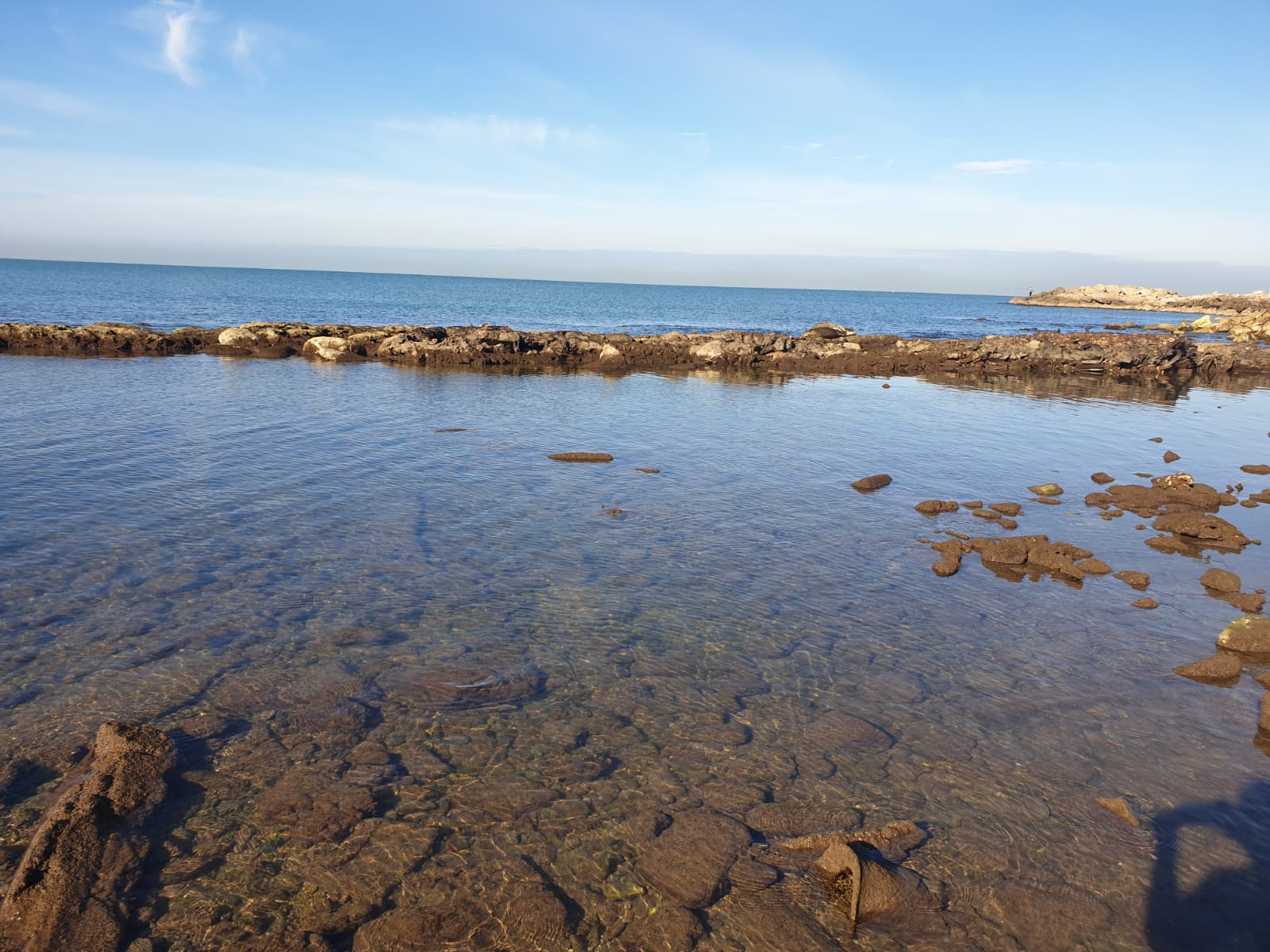 WhatsApp Image 2020-01-27 at 9.05.18 AM.jpeg.jpeg